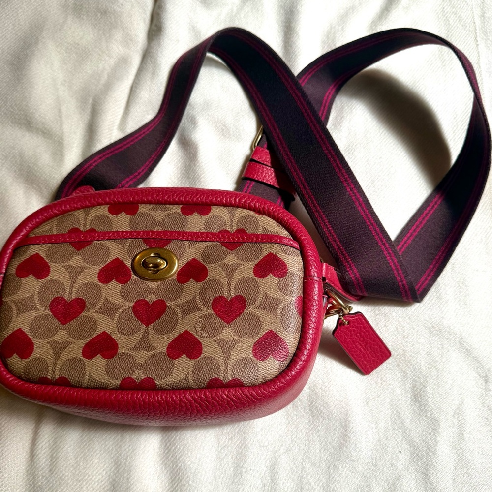 Coach camera bag hearts print from Valentine’s 2022 edition